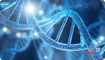 concurso professor de história (4)